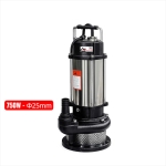 Bơm chìm đẩy cao 30m Rymaru RY-QDX750