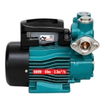 Bơm nước đẩy cao 50m Rymaru RY600 