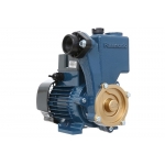 Bơm nước đẩy cao 250W Panasonic GP-250JXK