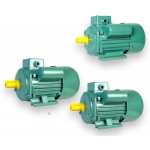 Motor kéo 1 pha 220V Xtra YL80M-4 _ YL90S-4 _ YL90L-4