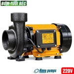 Máy bơm lưu lượng 2.2kW Navy 2200YB Gold ( 1 pha 220V )