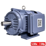 Motor điện 5.5Kw TTT YL132M-4 ( 1 pha vỏ gang )