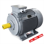 Motor công nghiệp vỏ gang TTT 125Hp ( 3 pha 380V - 90Kw )