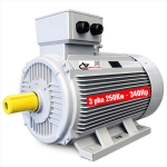 Motor công nghiệp TTT 250Kw 340Hp ( 3 pha 380/660V )