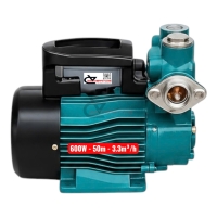 Bơm nước đẩy cao 50m Rymaru RY600 