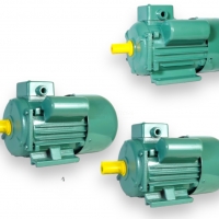 Motor kéo 1 pha 220V Xtra YL80M-4 _ YL90S-4 _ YL90L-4
