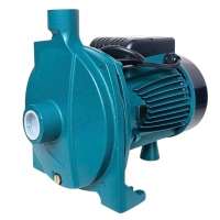 Bơm nước ly tâm đẩy cao 30m Rymaru RY170