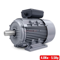 Motor điện 4.0Kw TTT CMYL132-4