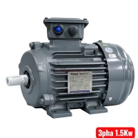 Motor điện 3 pha Teco 1.5Kw 2.0Hp