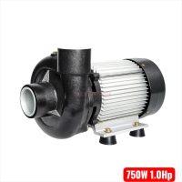 Máy bơm nước đẩy cao 750W HTC WG40-130-0.75YP