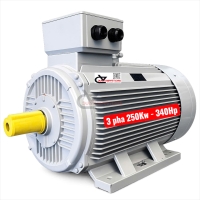 Motor công nghiệp TTT 250Kw 340Hp ( 3 pha 380/660V )