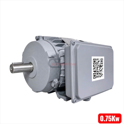Mô tơ kéo 1.0Hp TTT YL90S-4 ( vỏ gang )