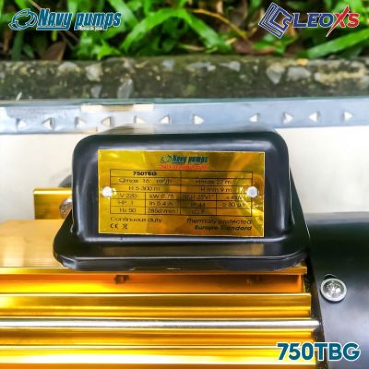 Máy bơm nước đẩy cao 0.75kW Navy 750TBG (Gold)