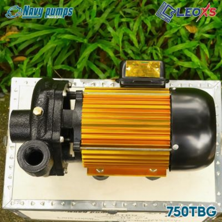 Máy bơm nước đẩy cao 0.75kW Navy 750TBG (Gold)