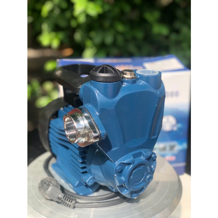 Máy bơm nước đẩy cao 300W KINGPUMP KP-300