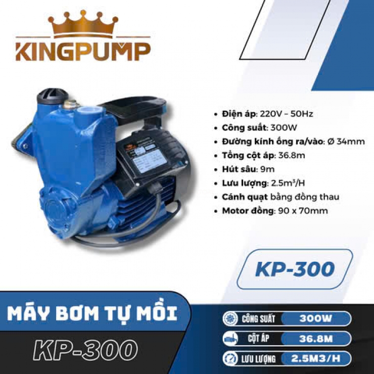 Máy bơm nước đẩy cao 300W KINGPUMP KP-300